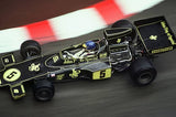 LOTUS 76 - RONNIE PETERSON - 1974 F1 SEASON - Mug