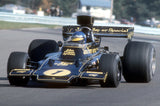 LOTUS 76 - RONNIE PETERSON - 1974 F1 SEASON - Mug
